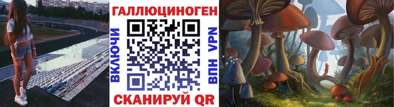 Псилоцибиновые грибы GOLDEN TEACHER сайты даркнета телеграм Слободской