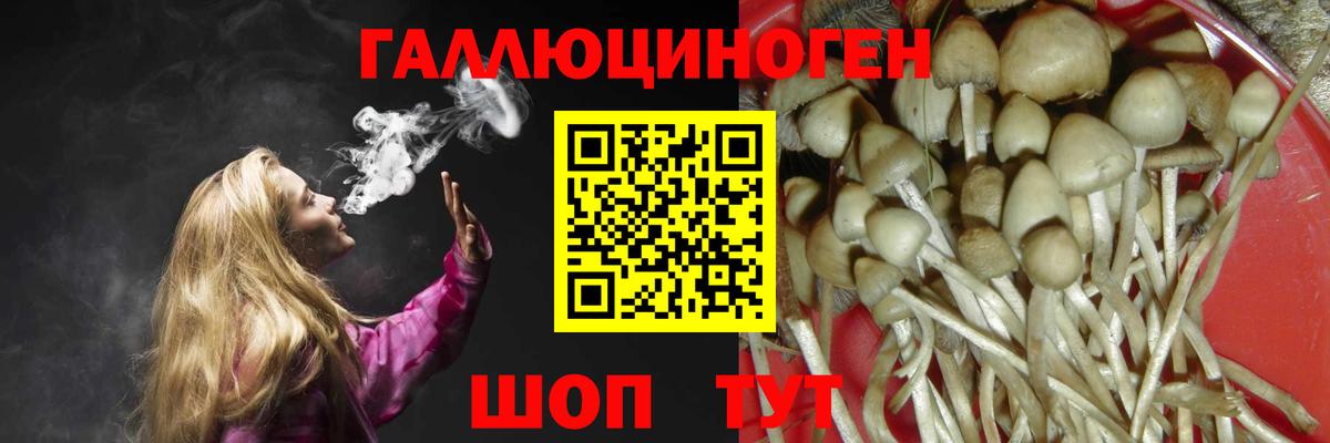 Слободской  Галлюциногенные грибы Psilocybe  Вход с VPN  Псилоцибиновые грибы мухоморы 